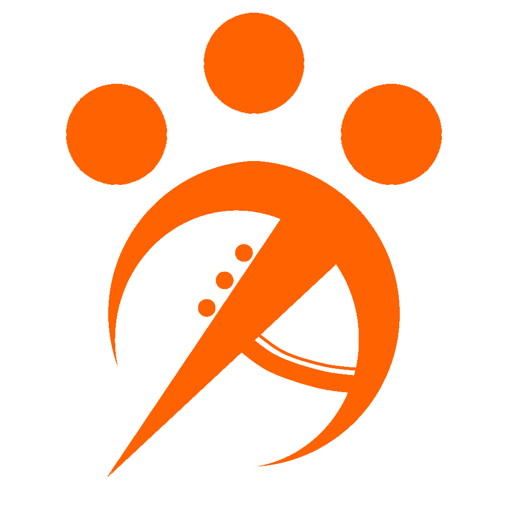 Panda Coporations Logo